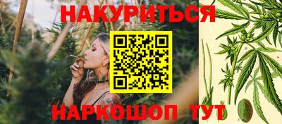 МДПВ Долгопрудный
