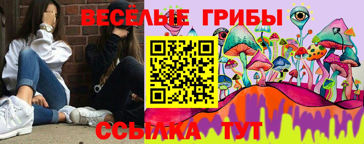Галлюциногенные грибы MAGIC MUSHROOMS  Вход с VPN  Бугуруслан 